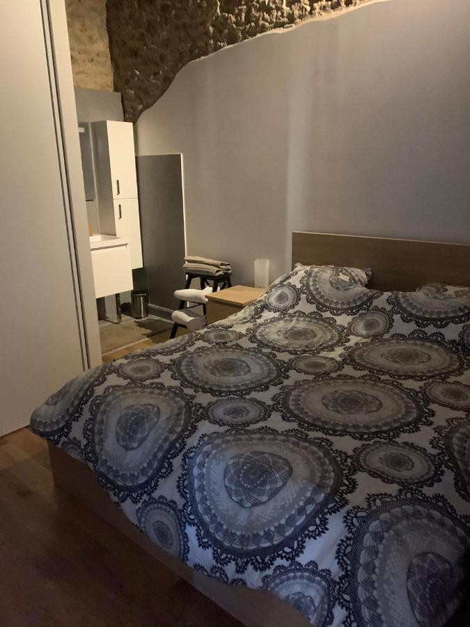 Coeur Vieux Lyon, 60 M2 Lumineux Tout Confort エクステリア 写真