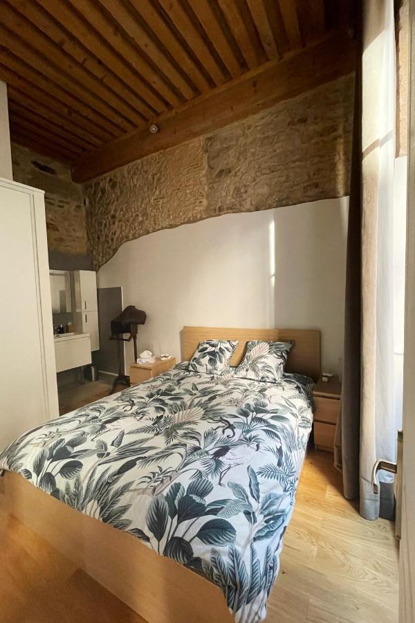 Coeur Vieux Lyon, 60 M2 Lumineux Tout Confort エクステリア 写真
